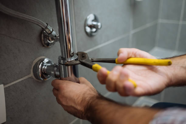 Best Drain Cleaning Services  in Alachua, FL
